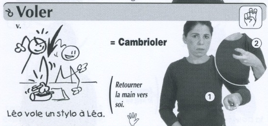 Voler.jpg