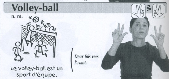 Volley-ball.jpg