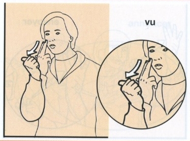 Vu.jpg