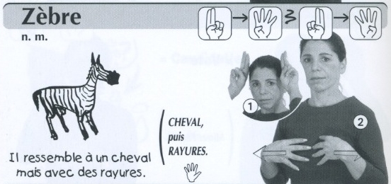 Zèbre.jpg
