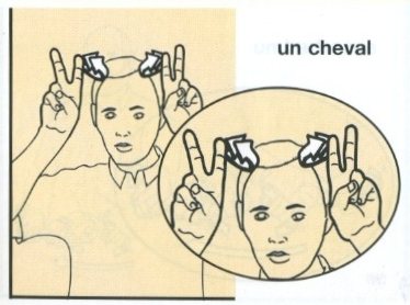 Cheval-2