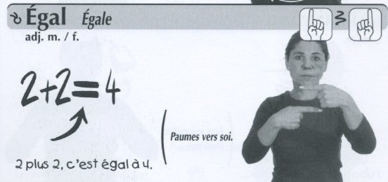 Egal.jpg